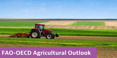 OECD FAO Agricultural Outlook Generic Slider